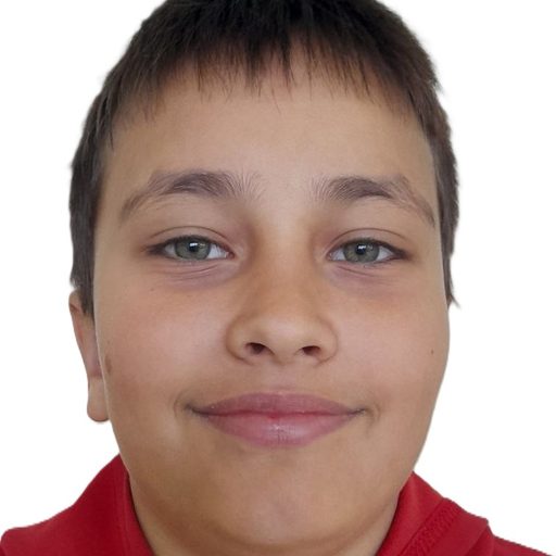 Амір Батеха